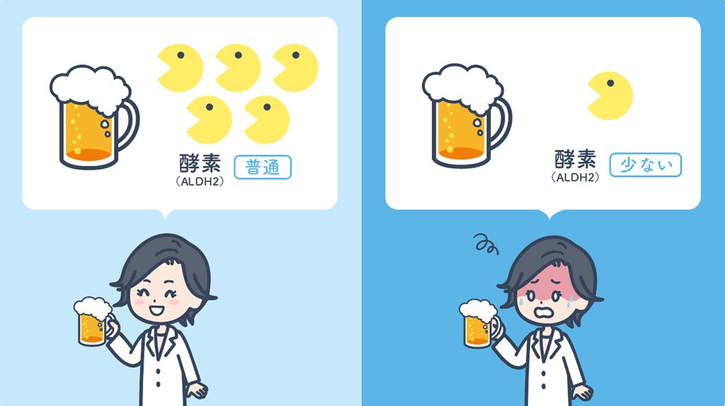 酵素の量は遺伝子によって左右