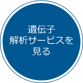 遺伝子解析サービスを見る